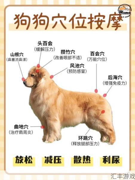 犬使摩震在哪(犬使摩震在哪里)