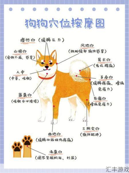 犬使摩震在哪(犬使摩震在哪里)