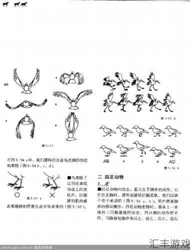 飞禽走兽技巧图解(飞禽走兽技巧视频教程)