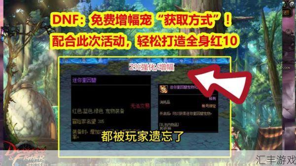 DNF宠物获取指南：活动与商城轻松拿宠物